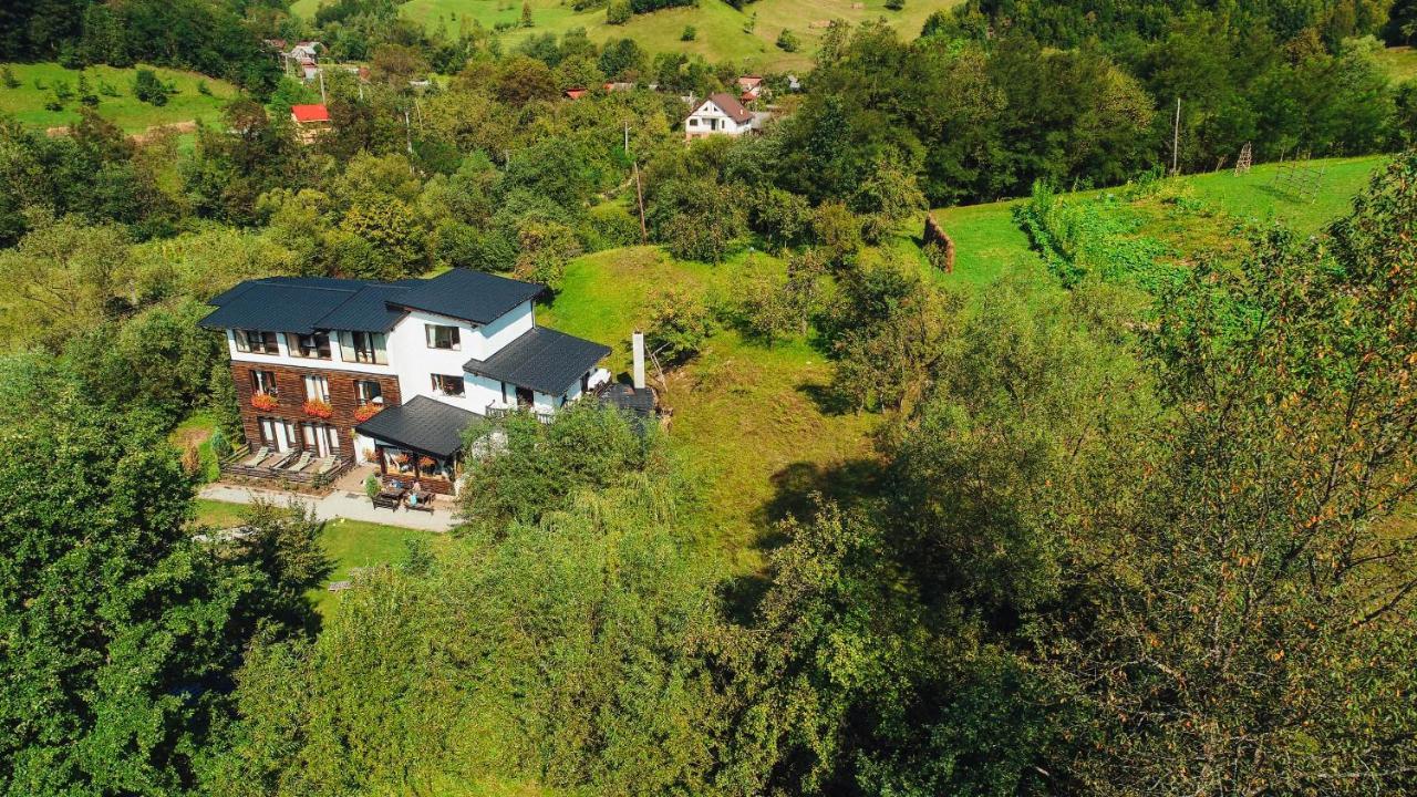 Hotel Talhaus Vişeu de Sus Zewnętrze zdjęcie