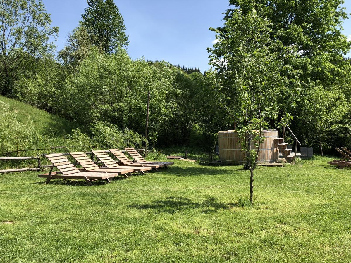 Hotel Talhaus Vişeu de Sus Zewnętrze zdjęcie